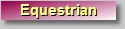 You are in the Equestrian Gallery